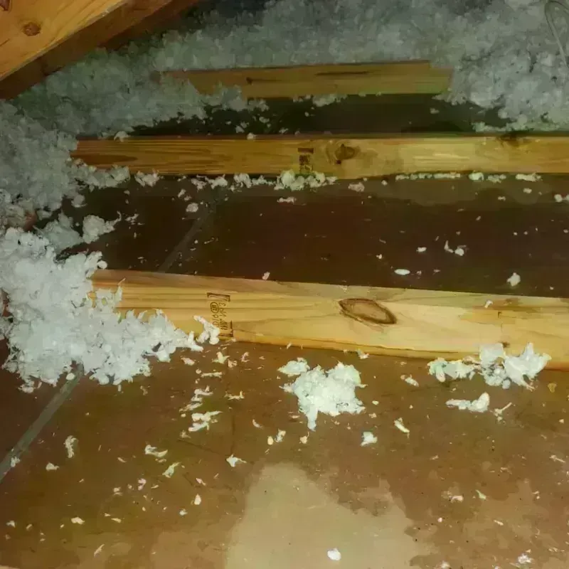 Attic Water Damage in Bandon, OR